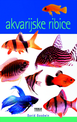 Akvarijske ribice