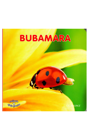 Bubamara !!