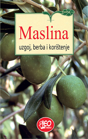 Maslina