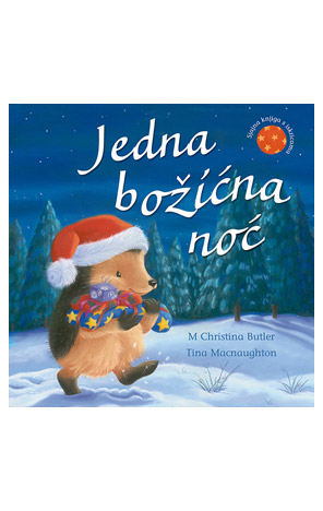 Jedna božićna noć