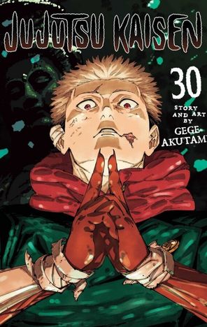 Jujutsu Kaisen Vol 30