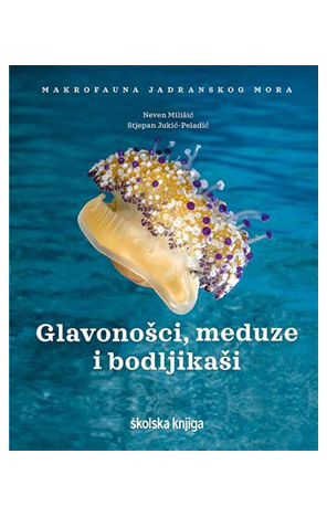 Glavonošci, meduze i bodljikaši