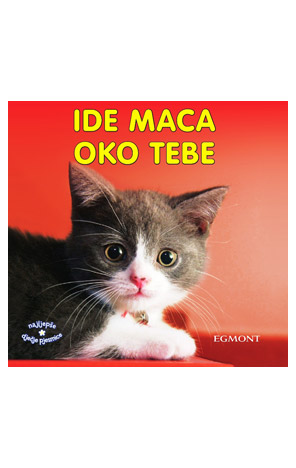 Ide maca oko tebe