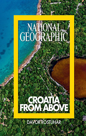 Image alt text