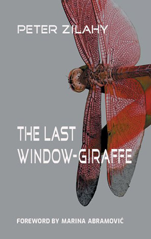 The Last Window - Giraffe