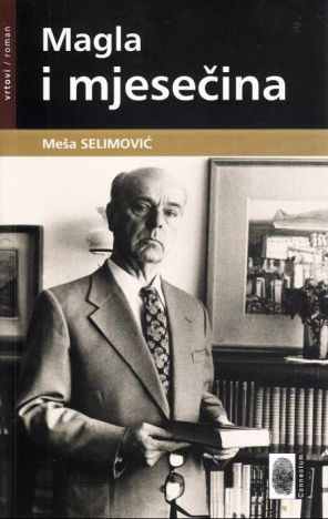Magla i mjesečina
