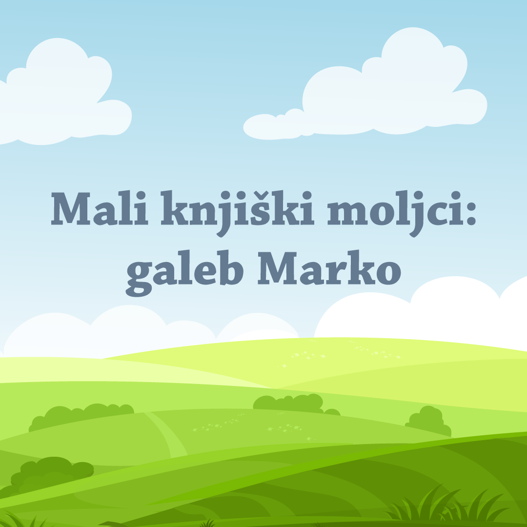 Image alt text