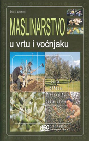 Maslinarstvo u vrtu i voćnjaku