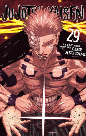 Jujutsu Kaisen Vol 29